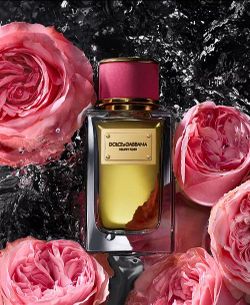 Dolce & Gabbana Velvet Rose Eau de Parfum