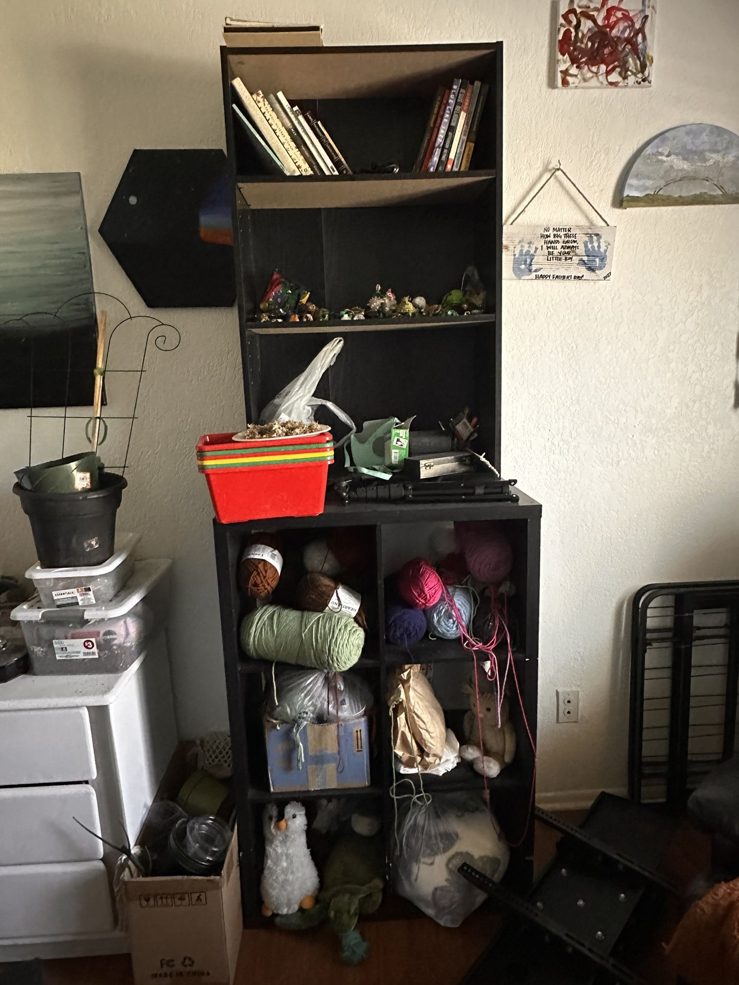Book Shelves/ Cubies