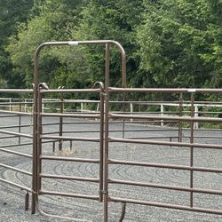 12 Twelve Foot Panels With One Walk Through Gate  Is A Gate 