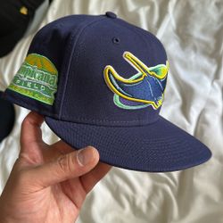 Devil Rays Tropicana Fitted Exclusive