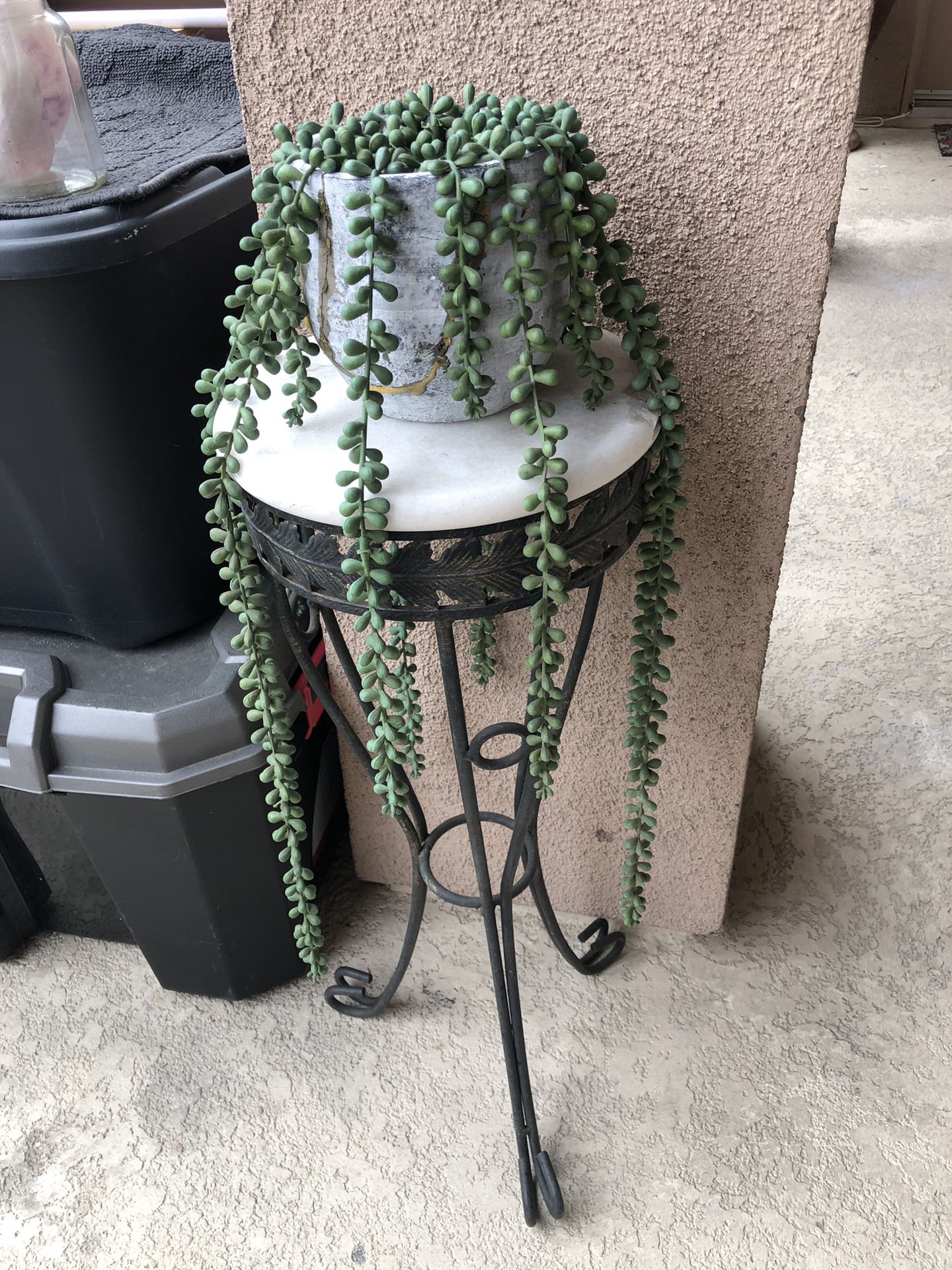 Plant holder (fake plant not included)
