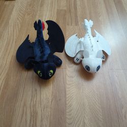 Both White And Black Dragons From How To Train Your Dragon