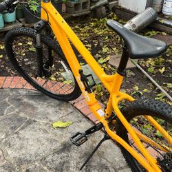 Coop Orange Hardtail