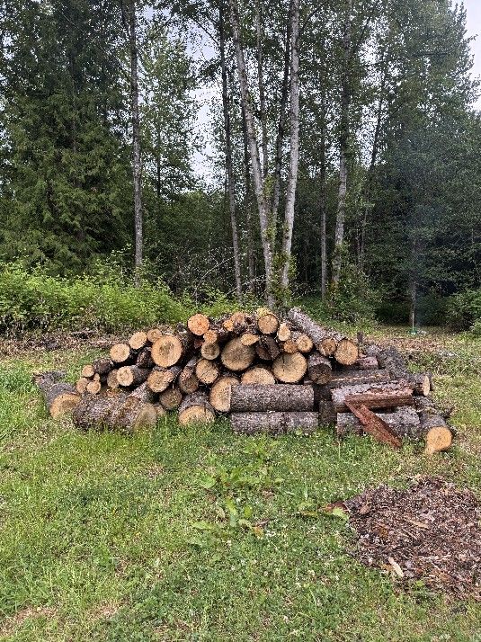 Free Firewood