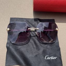 Womens Sunglasses 