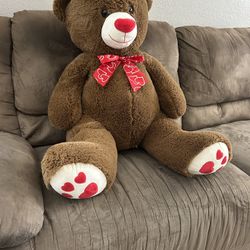 Teddy Bear 