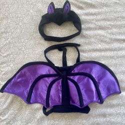 Dog Costume - Bat Size M 🦇 