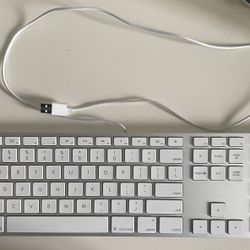 Apple A1243 Aluminum USB Keyboard