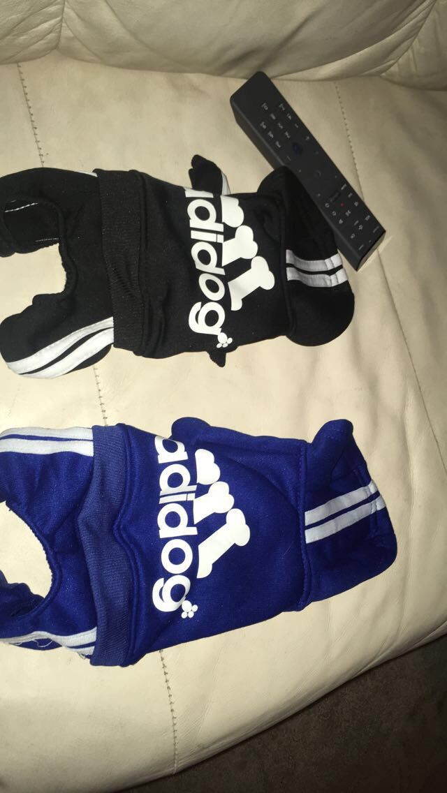 Adidas dog track suits