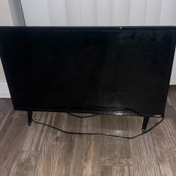 43” Vizio Flat Screen TV