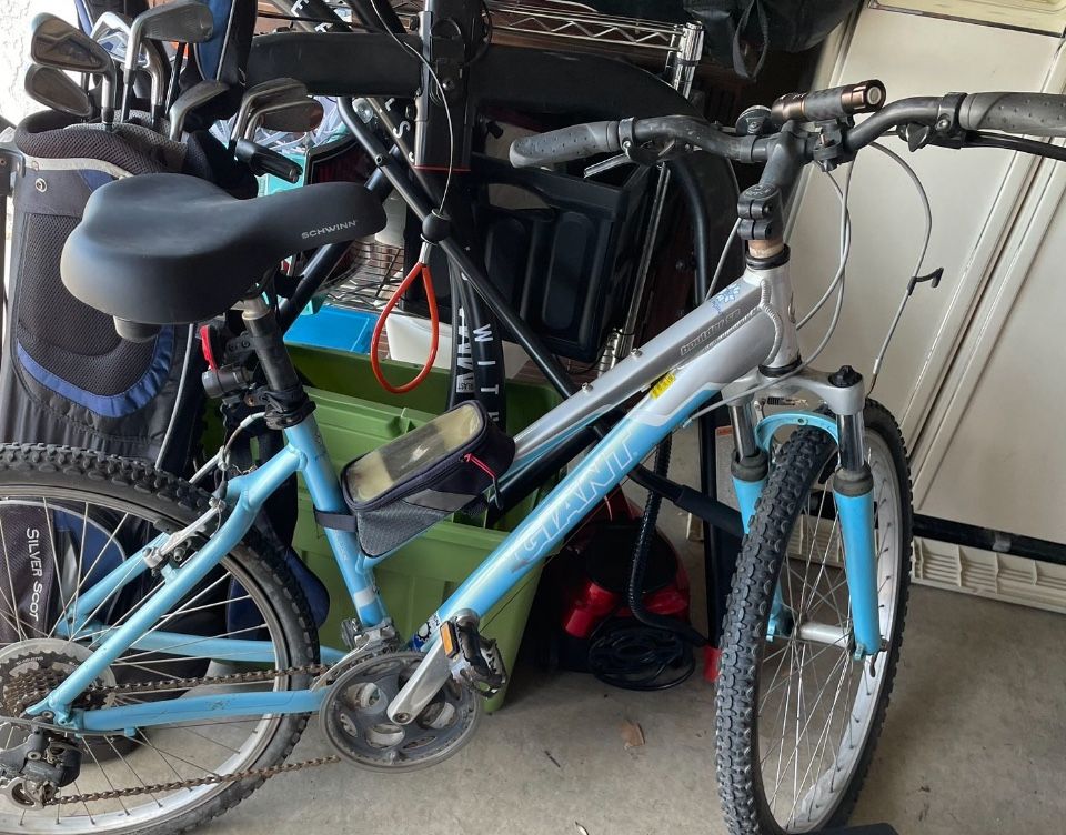 Giant mountain bike