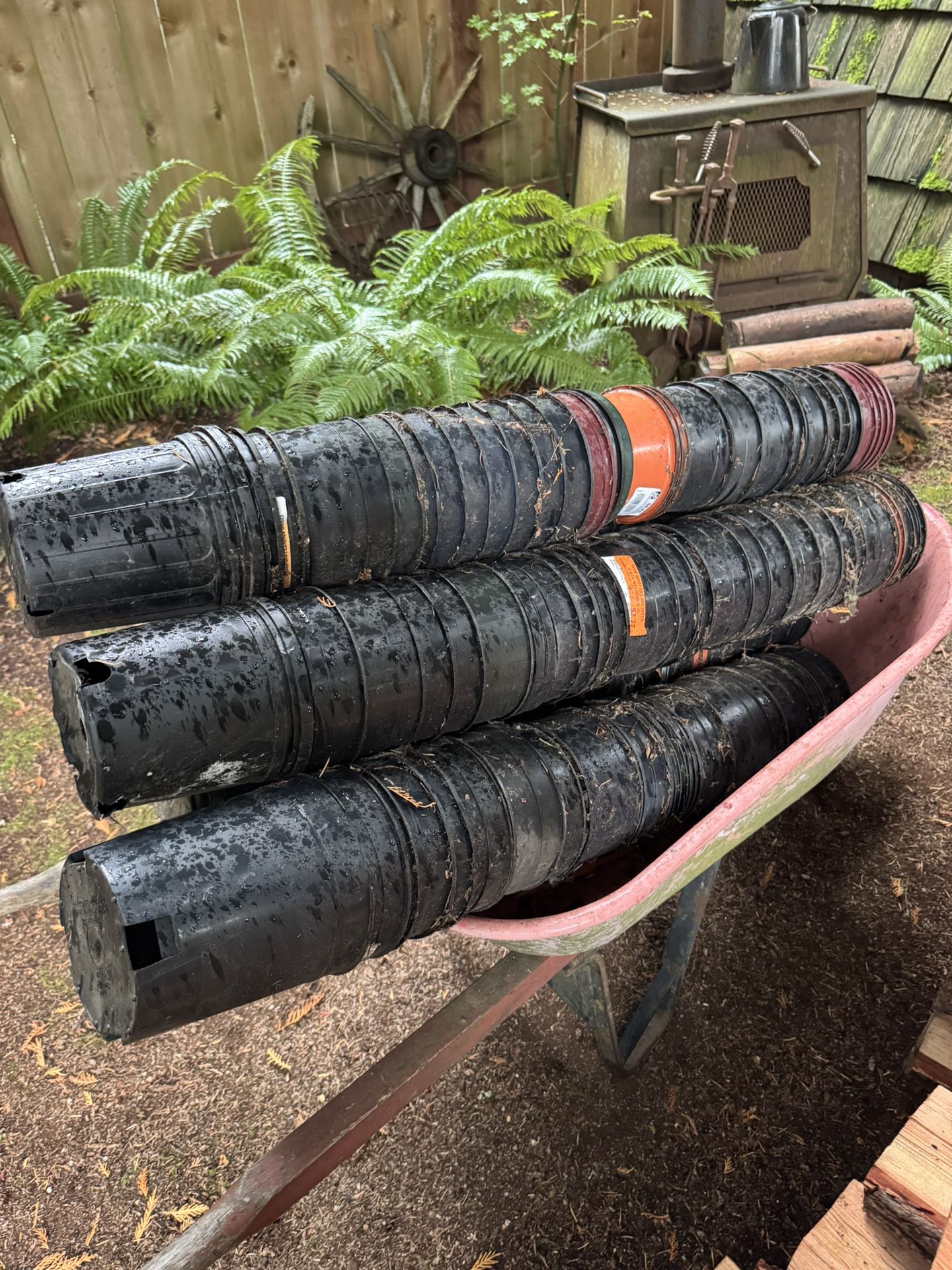 1 gal. Plant Pots