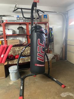Everlast Chin up/ pull up bar with ufc bag