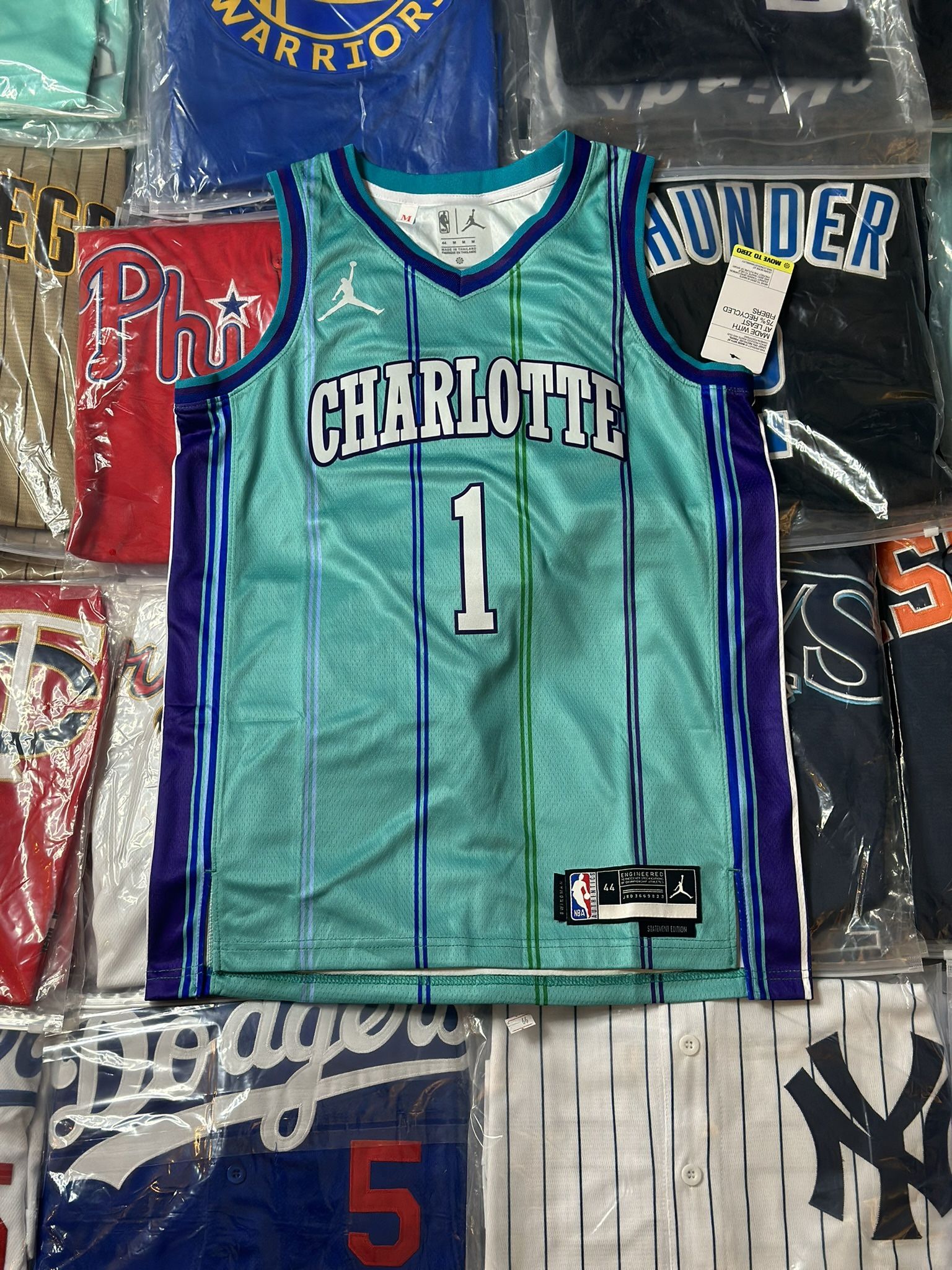 Charlotte Hornets Lamelo Ball