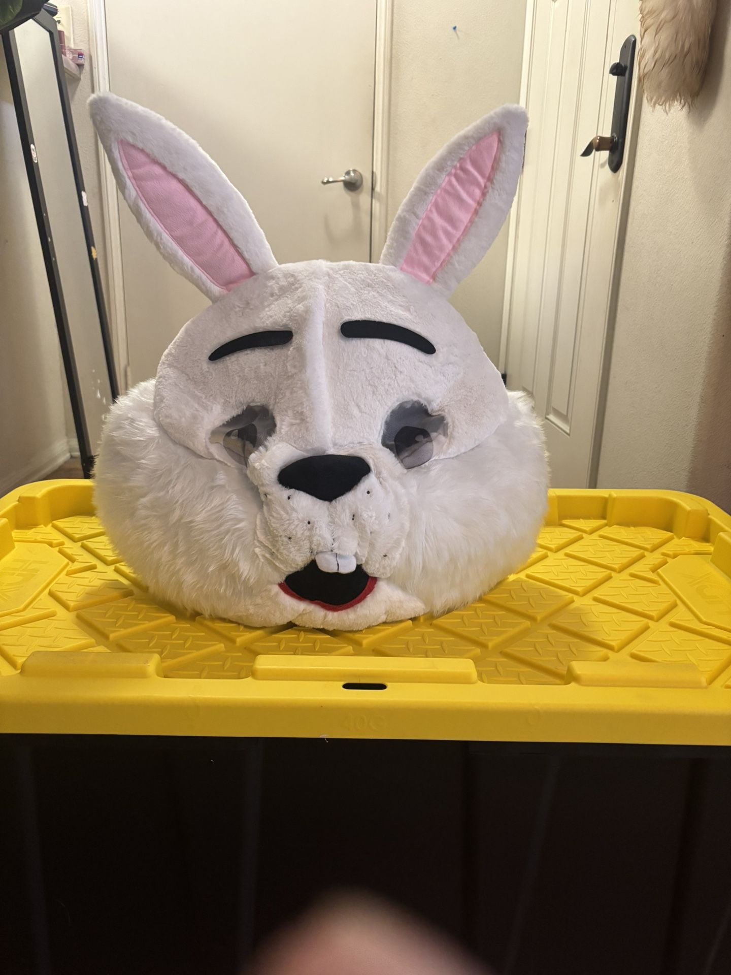 BUNNY HAT
