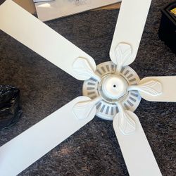 Ceiling Fan 