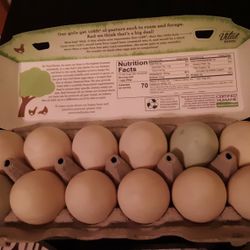 Duck eggs $6/dozen