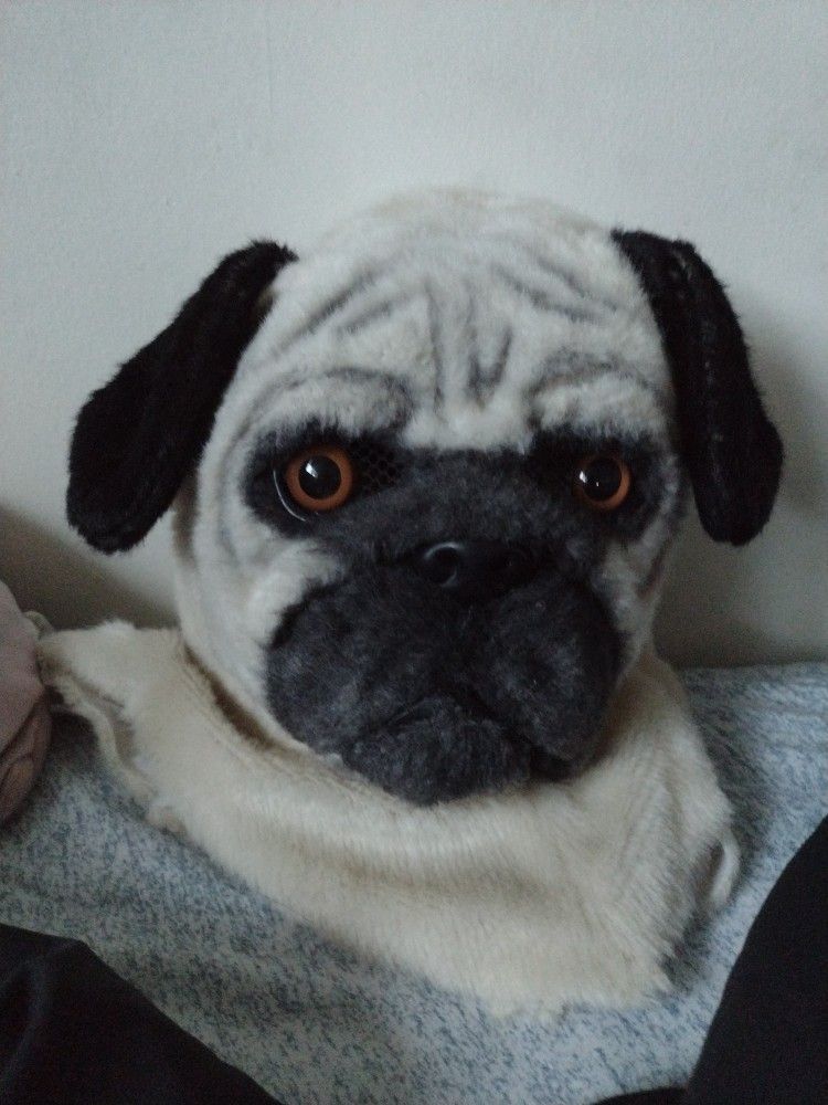 Realistic Dog Mask