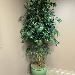 Brand New cwramic Pot  Faux Silk Tree  6.5 Feet Hi 