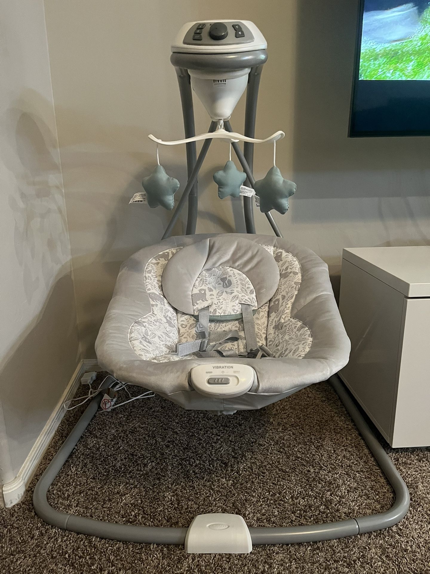 Graco Baby Swing
