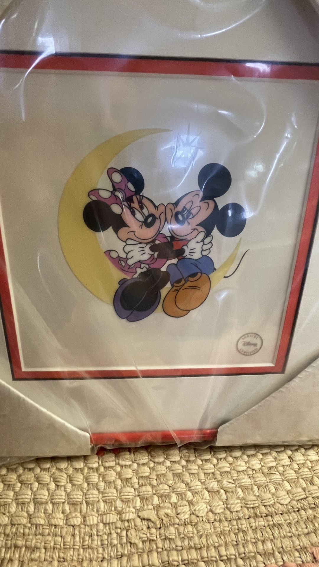 Mickey And Minnie Mouse Moonlight Romance