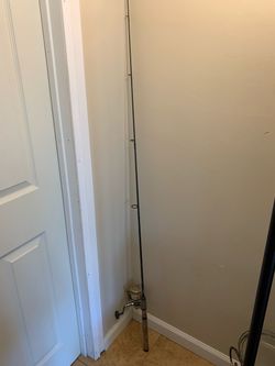 Rod and reel