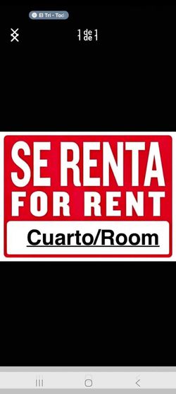 Traila en renta