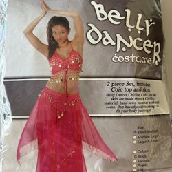 Belly Dancer Costume