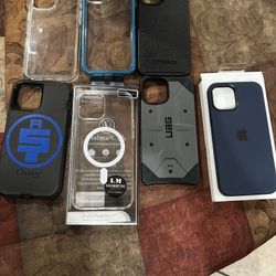 iPhone 12 Pro Max Cases