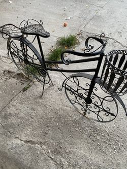 Planteó