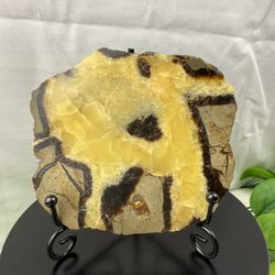 Crystal Septarian Slab 