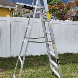 10' Aluminum Ladder