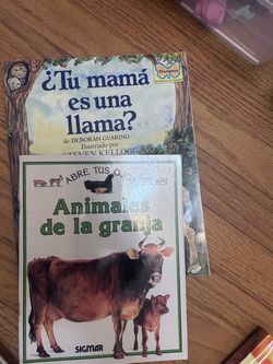 Spanish Children's Books Lot of 2