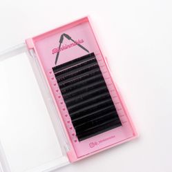 Lash Trays