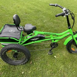 Addmotor From Amazon. 750 watt E-Bike Trike