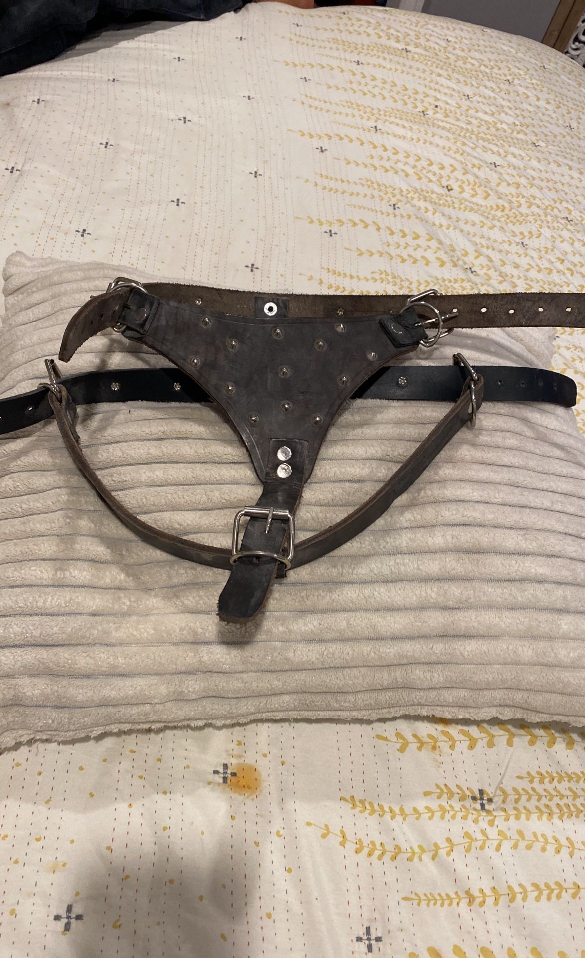 Dog Harness Leather !! Pechera Para Perro De Cuero