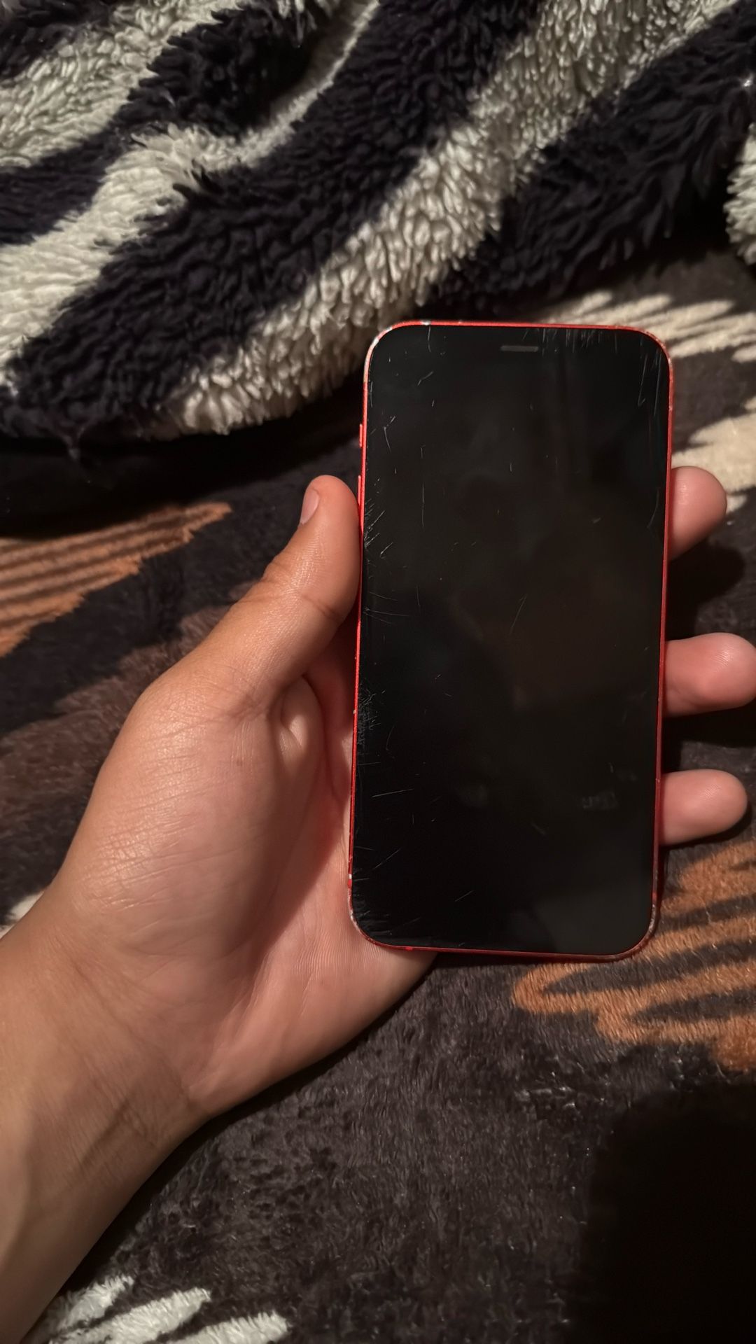 iPhone 12 Mini