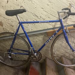 Giant Perigee Road Bike 23” Frame