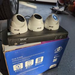 FLIR MPX Security System
