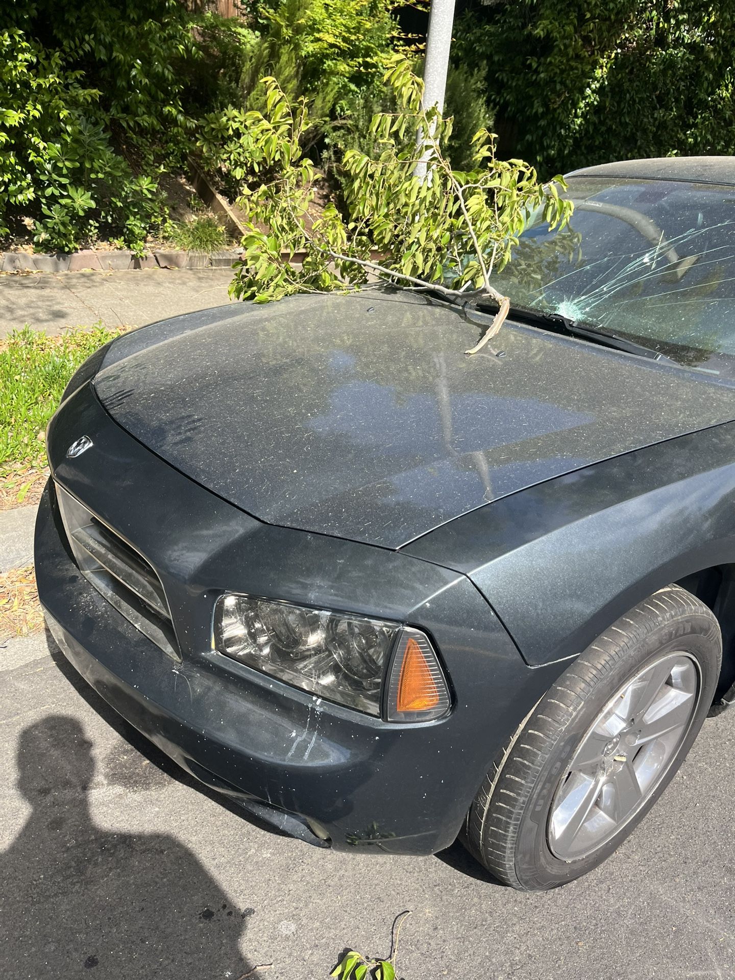 2007 Dodge Charger