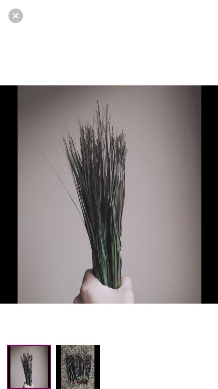 Grass Steams