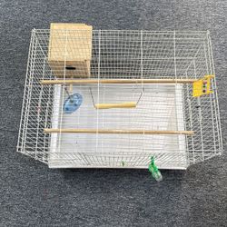 Bird Cage 