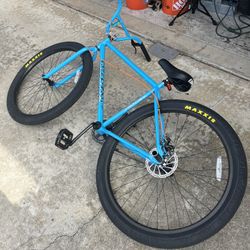 29” Beastern bike