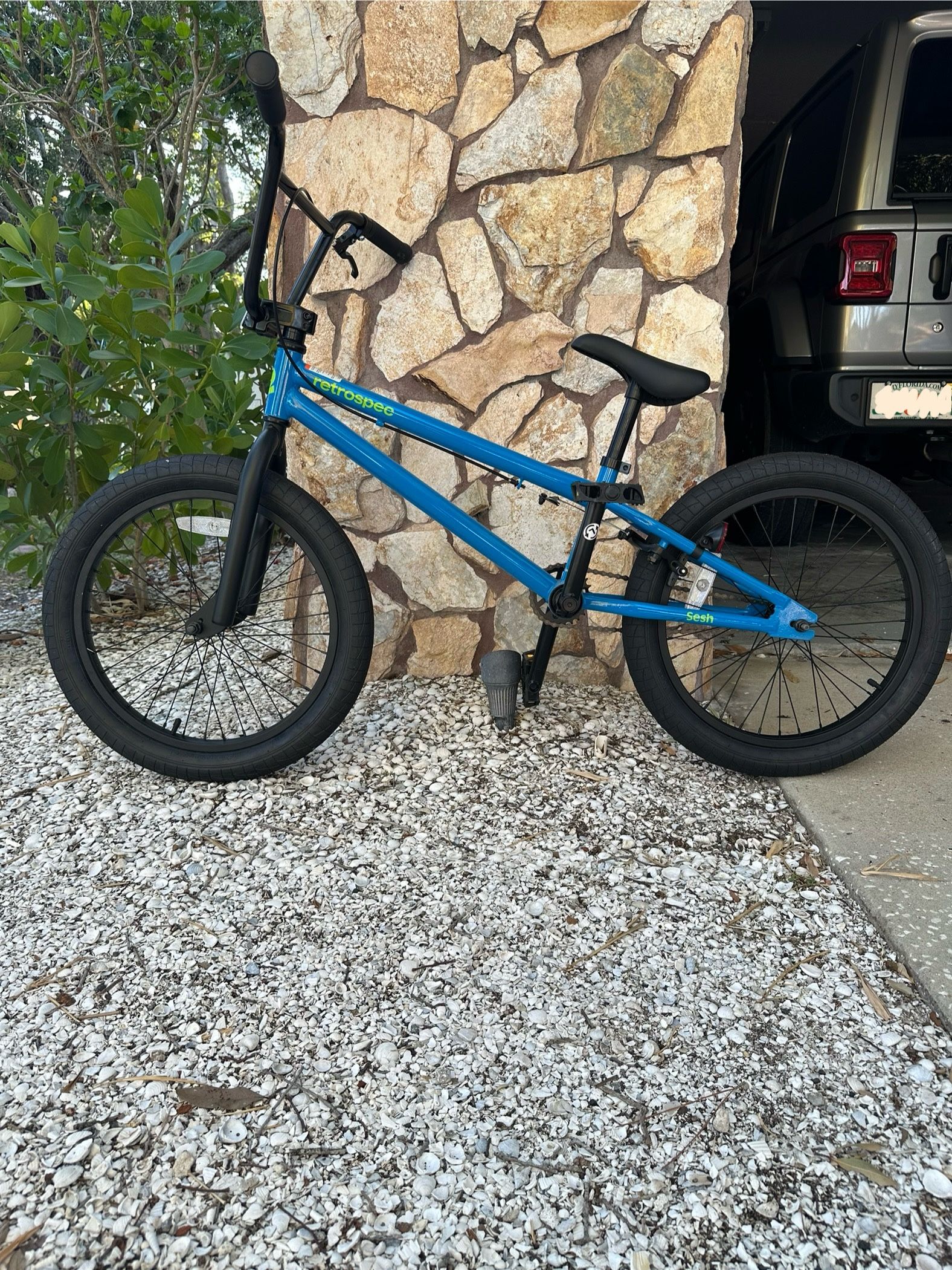 Retrospec Sesh BMX Kids Bicycle 