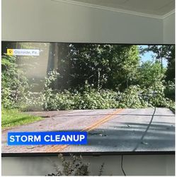 55”  Insignia 4k Fire Television 