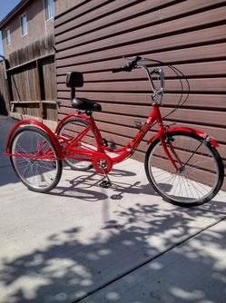 Tricycle  Adult