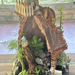 Succulent Arrangement 