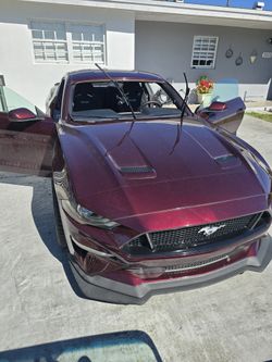 Windshield/palabrisas 