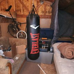 Punching BAG