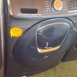 Bonita Labadora Grande Con Garantía 